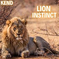 Lion Instinct