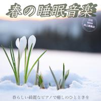 春の睡眠音楽 春らしい綺麗なピアノで癒しのひとときを 睡眠導入BGM 作業用BGM 瞑想用BGM