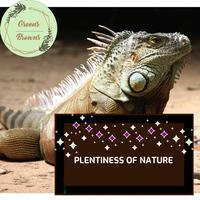 Plentiness of Nature