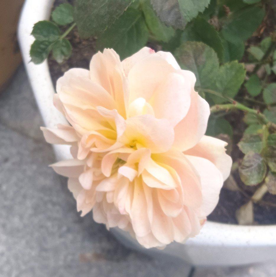 雨过后的风景封面