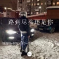 莫问归期 (DJ版)封面