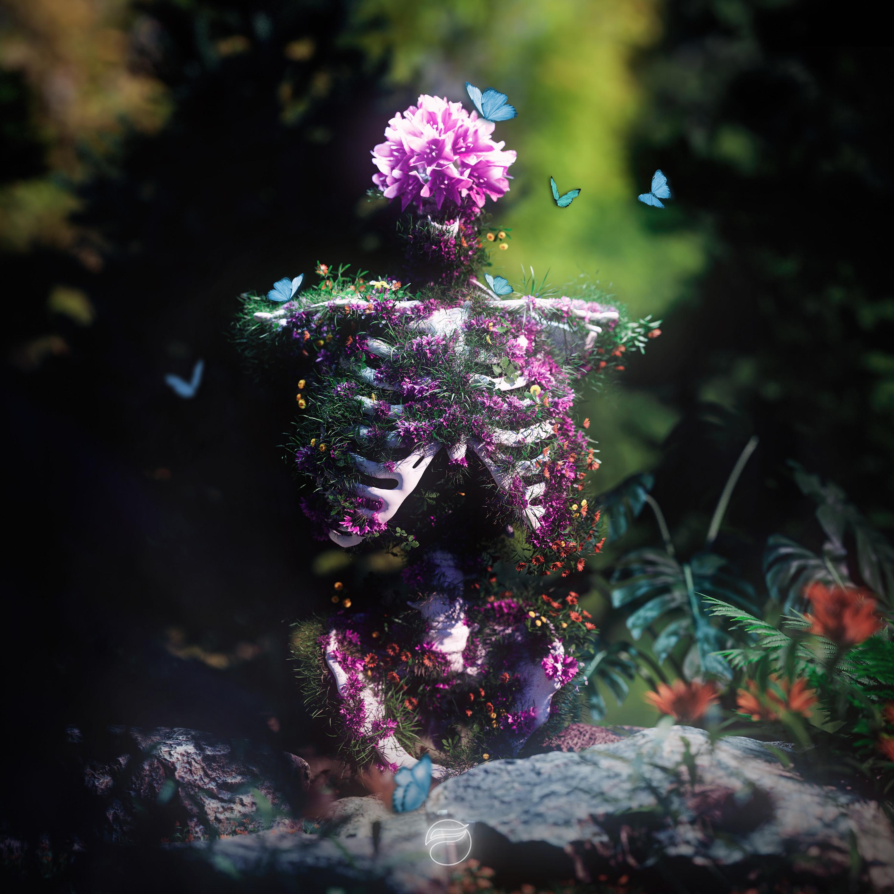 Bloom封面