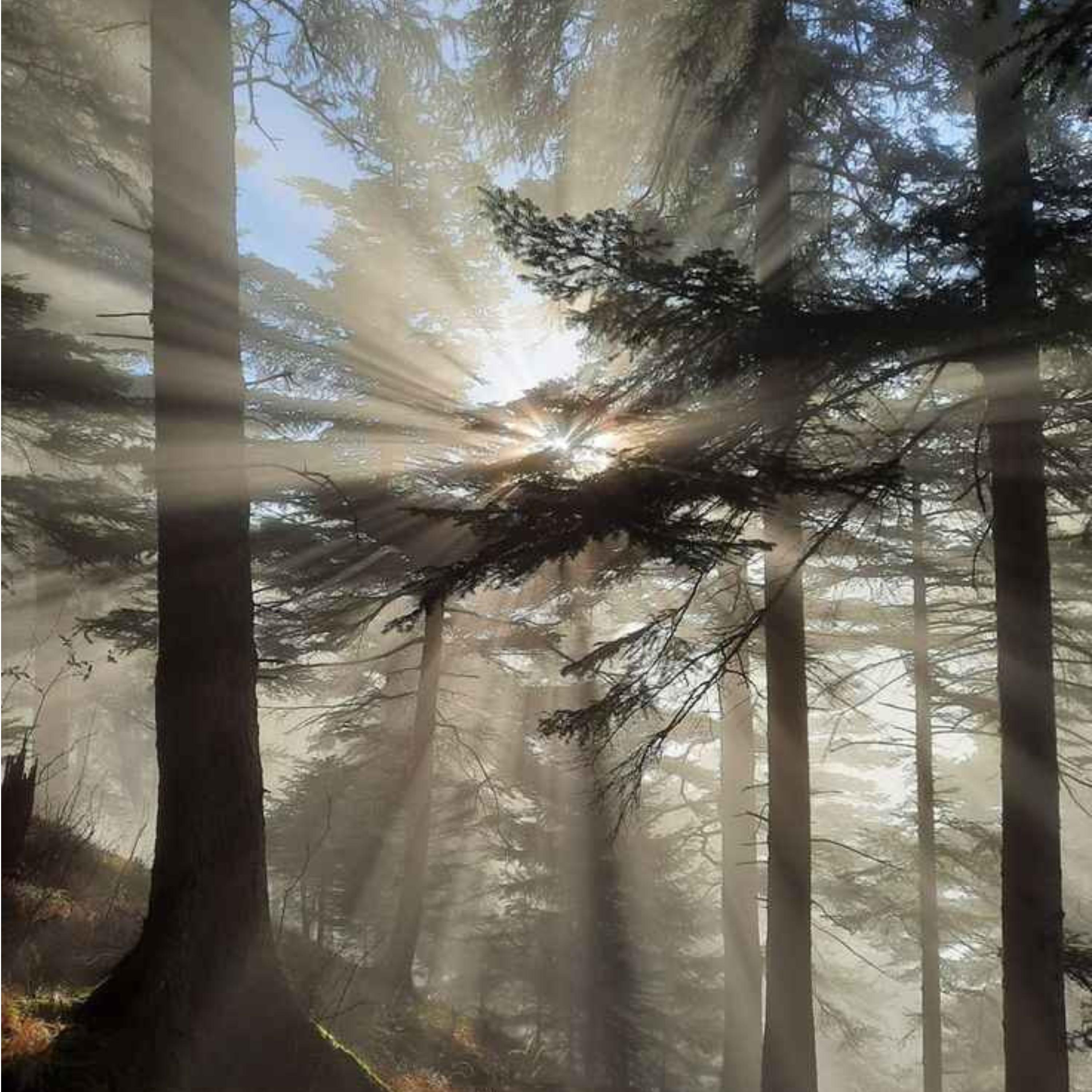 team (feat. omgkeon & hunchovelly)