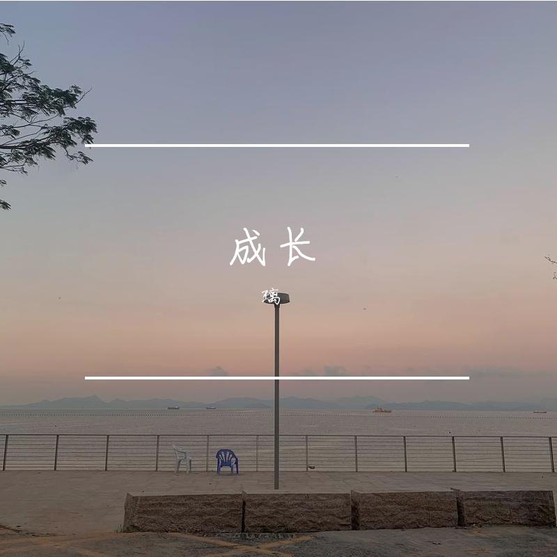 隐形的翅膀（live）封面