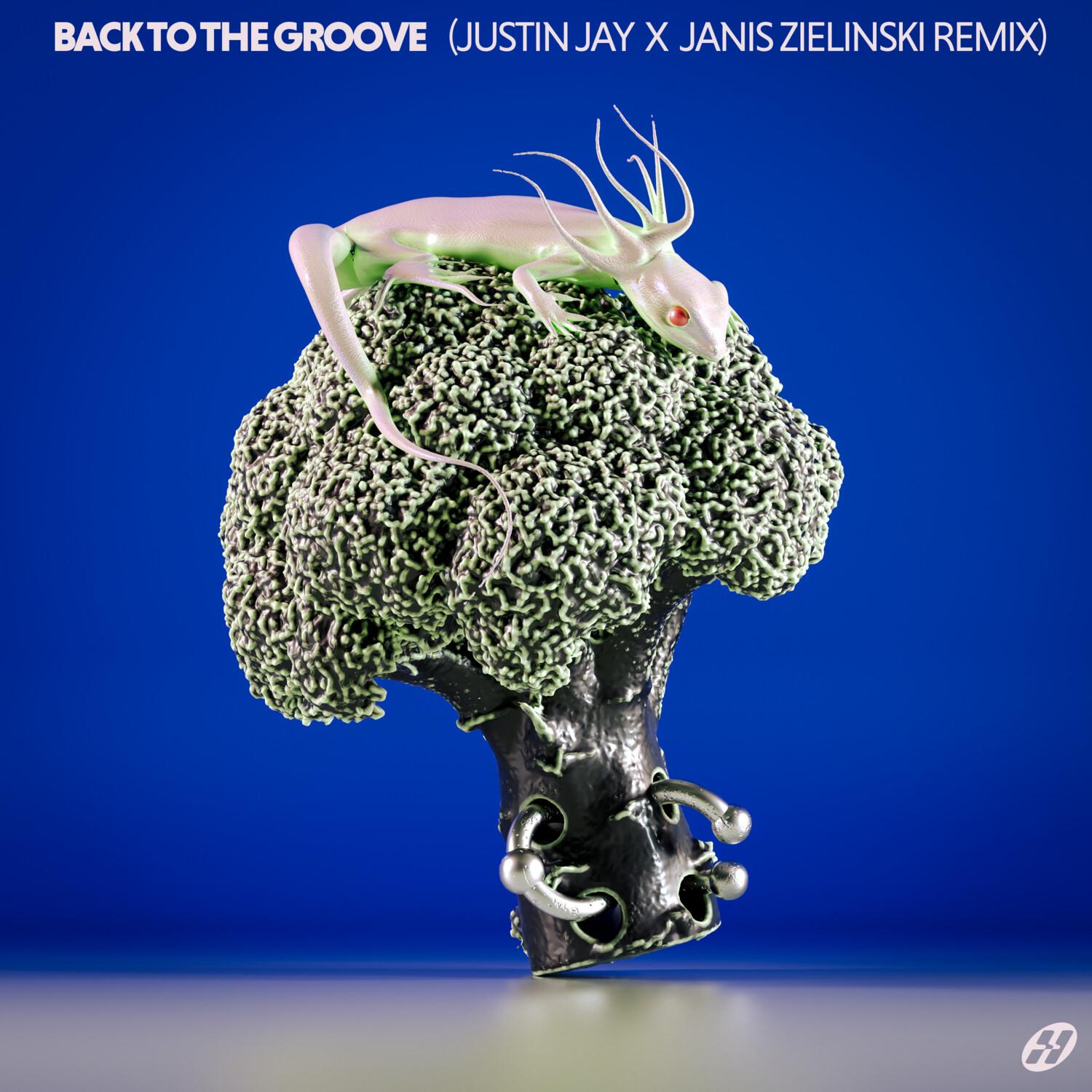 Back To The Groove (Justin Jay x Janis Zielinski remix)