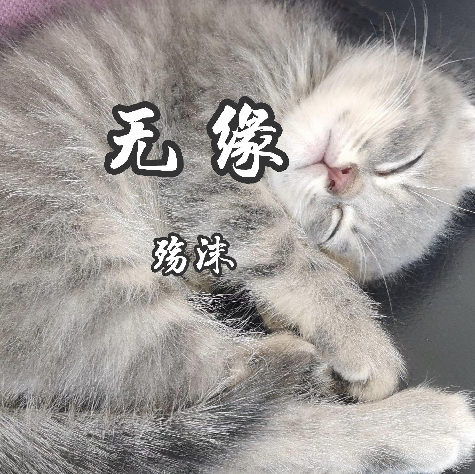无缘封面