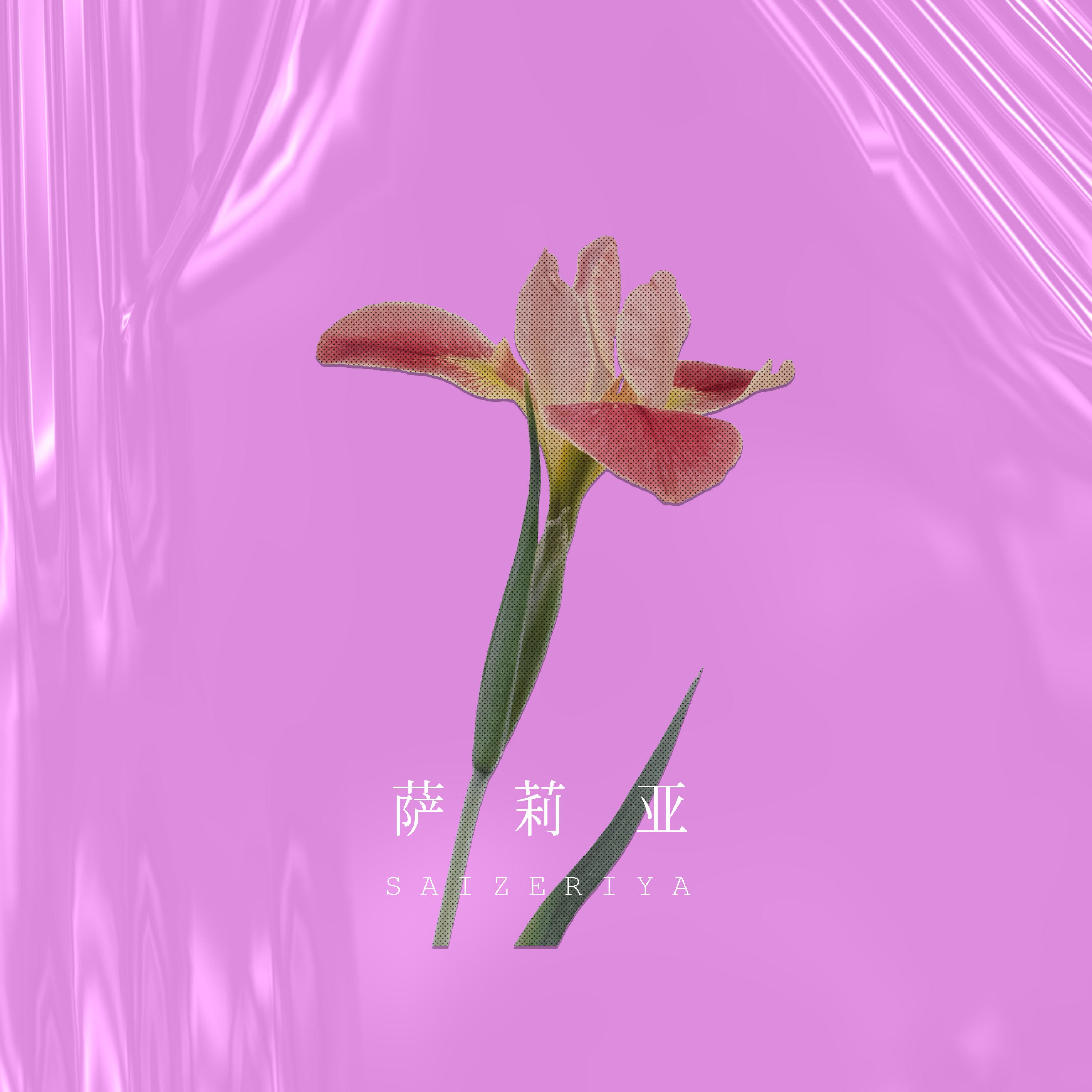 song-img
