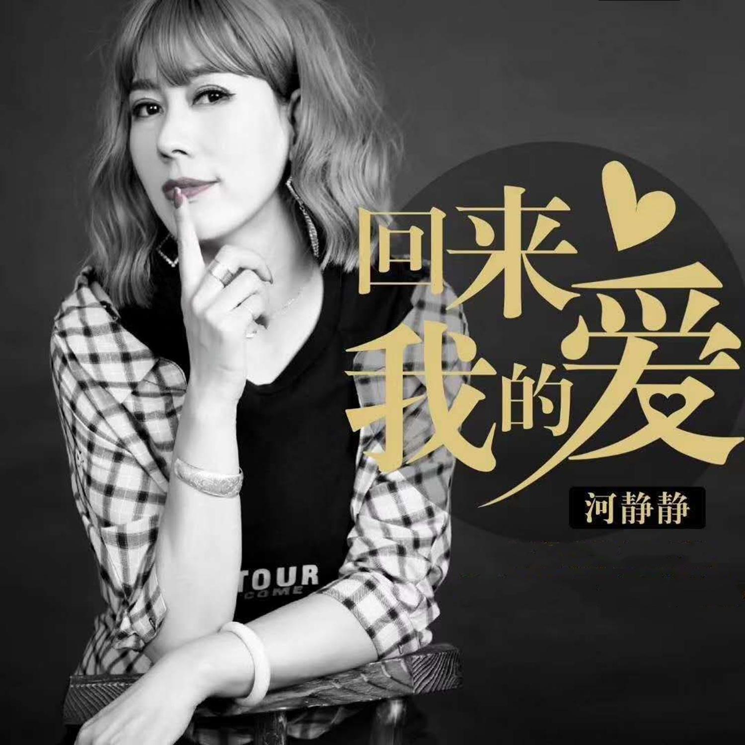 回来我的爱封面