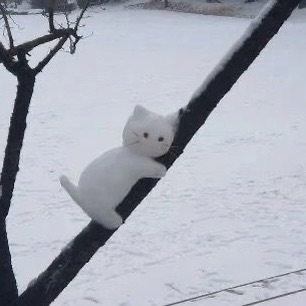 麦恩莉封面