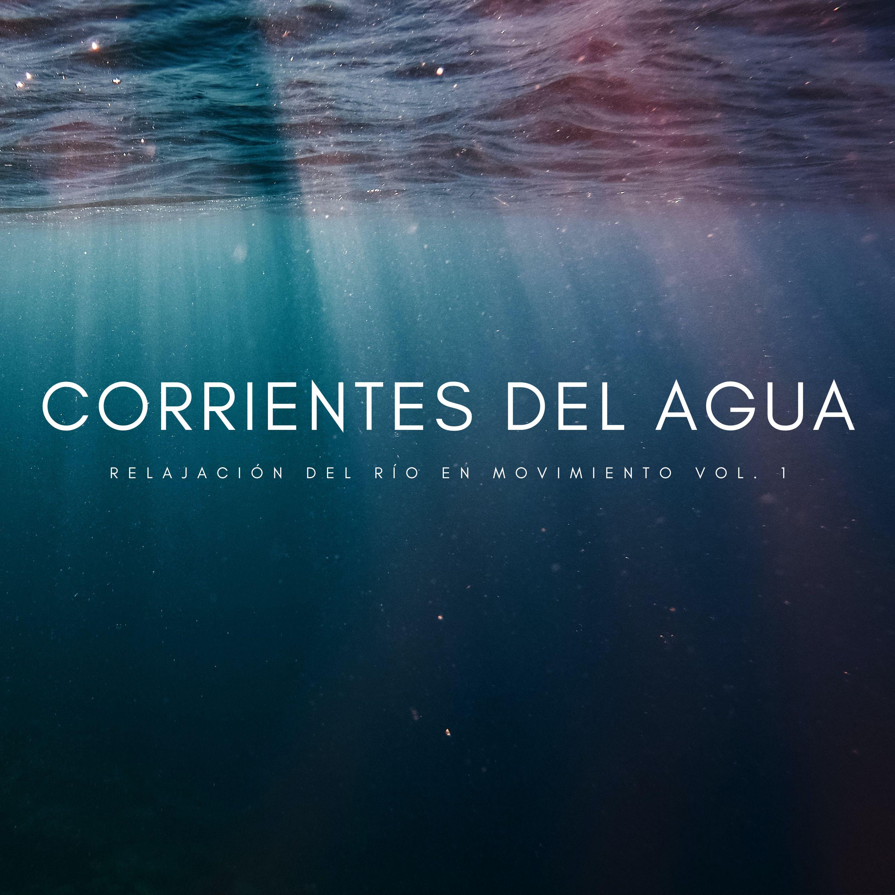Sonidos De La Lluvia_Sonidos De Lluvia y Tormentas_Corrientes Del Agua: Relajación Del Río En Movimiento Vol. 1 | 在线播放_Sonidos De La Lluvia歌词_Sonidos De La Lluvia下载 | 网易云音乐