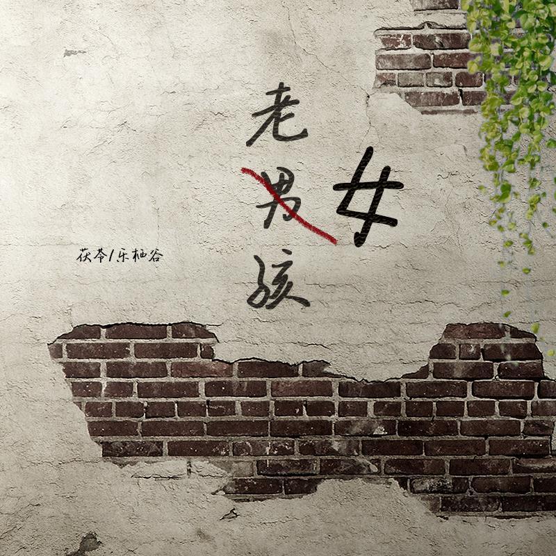 老男孩（女版）
