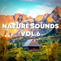 Nature Sounds Vol.6