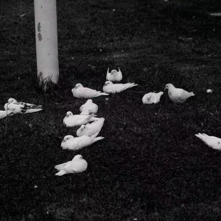 :(_Lv9_:( | 在线播放_:(歌词_:(下载 | 网易云音乐