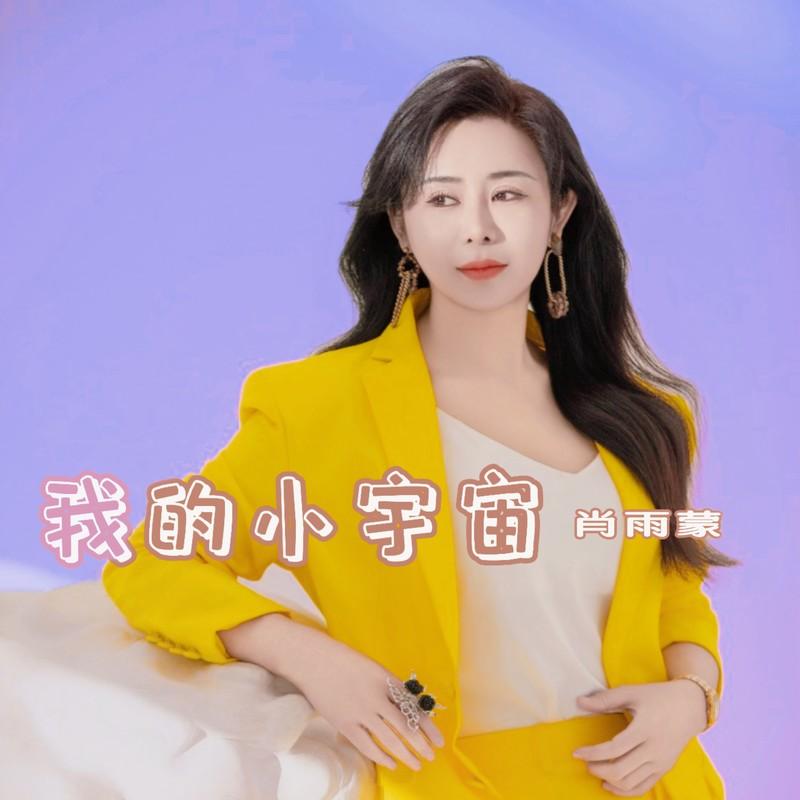 我的小宇宙（哥哥你慢点走）封面