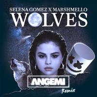 Wolves (ANGEMI Remix)