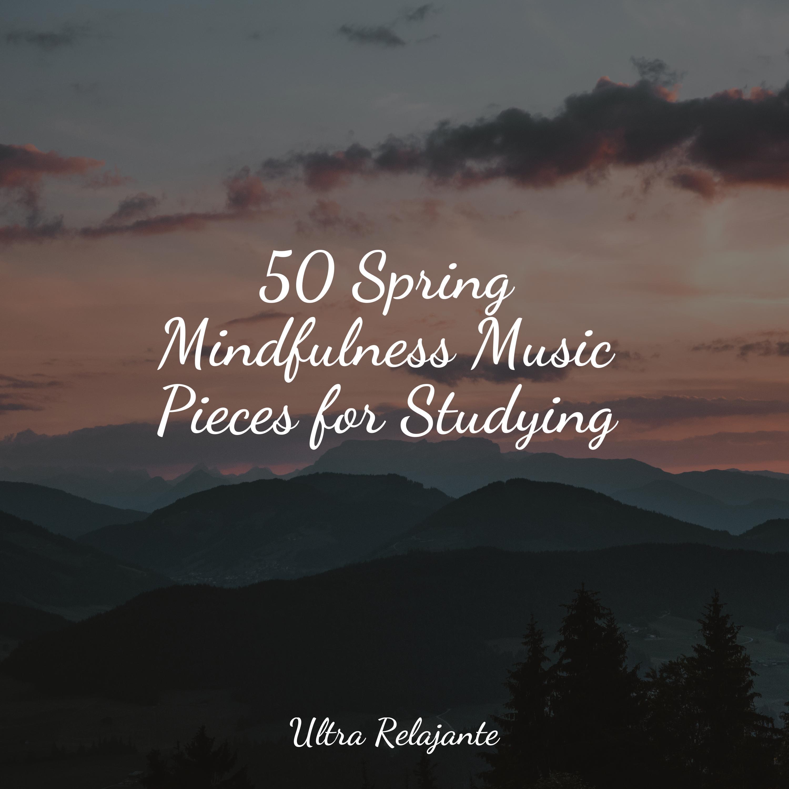 Zen Music Meditation Youtube - o7bmj5n