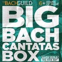 Big Bach Cantatas Box