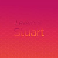 Leverage Stuart