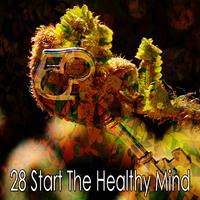 28 Start The Healthy Mind