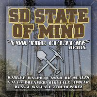 For the Culture (feat. Kahlee, Ralph Quasar, Ric Scales, Cali the Dreamer, Real J. Wallace, Miki Vale, Apollo & Beto Perez) [Remix] (Remix)