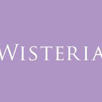 wisteria资料,wisteria最新歌曲,wisteriaMV视频,wisteria音乐专辑,wisteria好听的歌