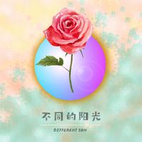 不同的阳光