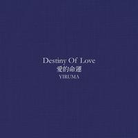 Destiny Of Love