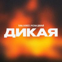 Дикая