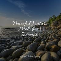 Peaceful Nature Melodies | Insomnia For Dogs