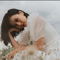 Phạm Lịch