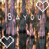 Bayou