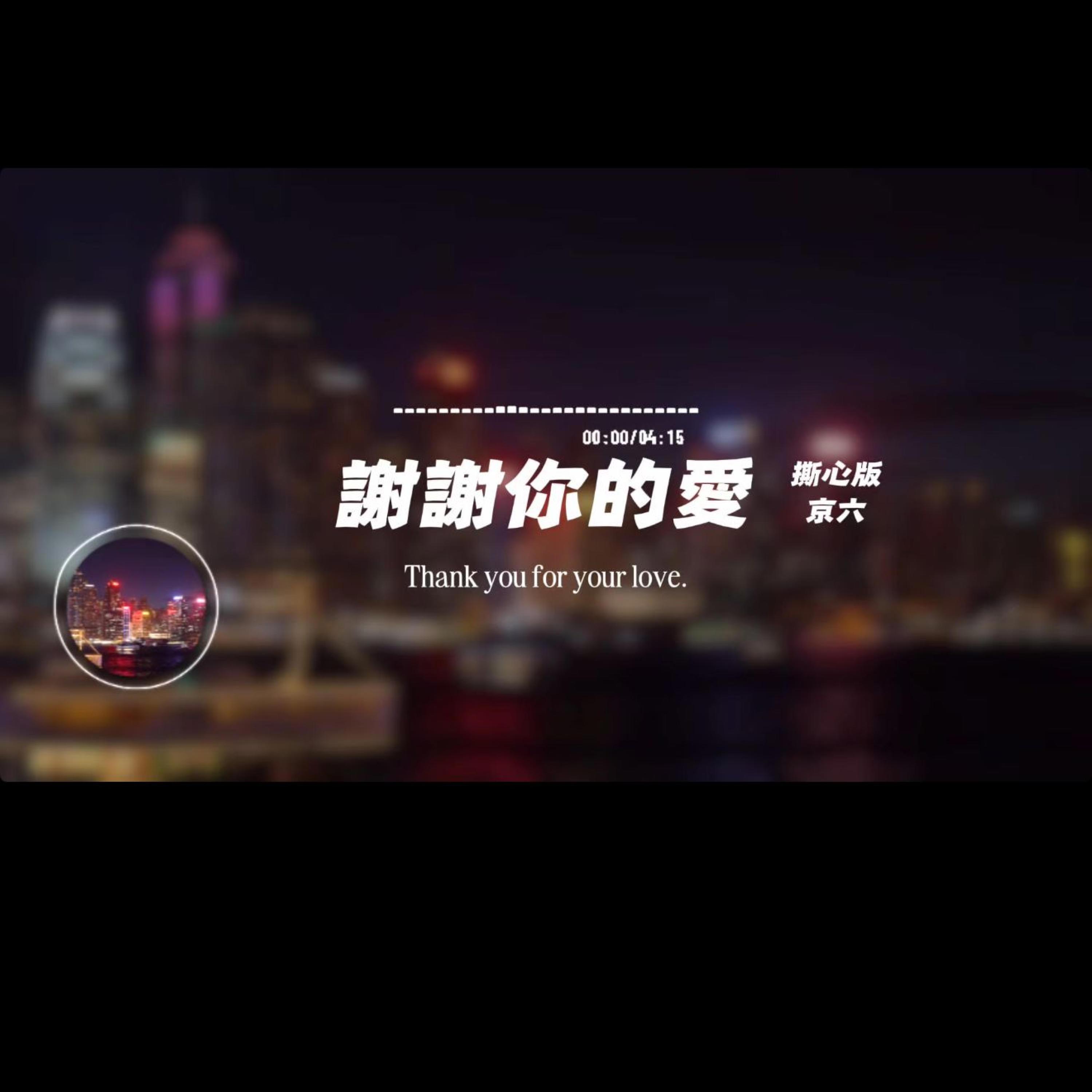 謝謝你的愛/撕心版封面
