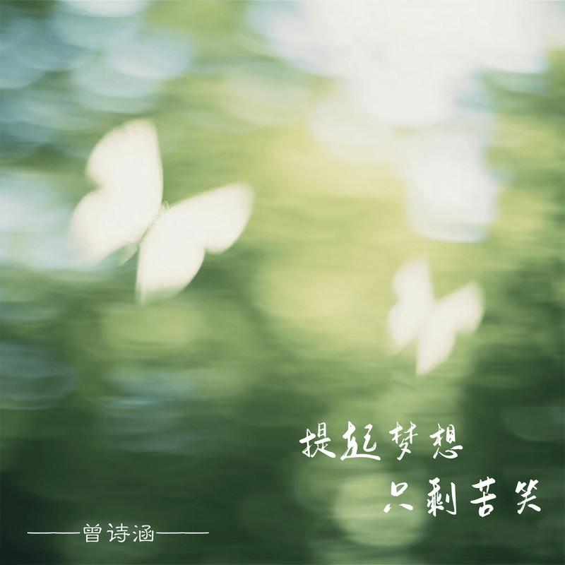 提起梦想只剩苦笑 (伴奏)封面
