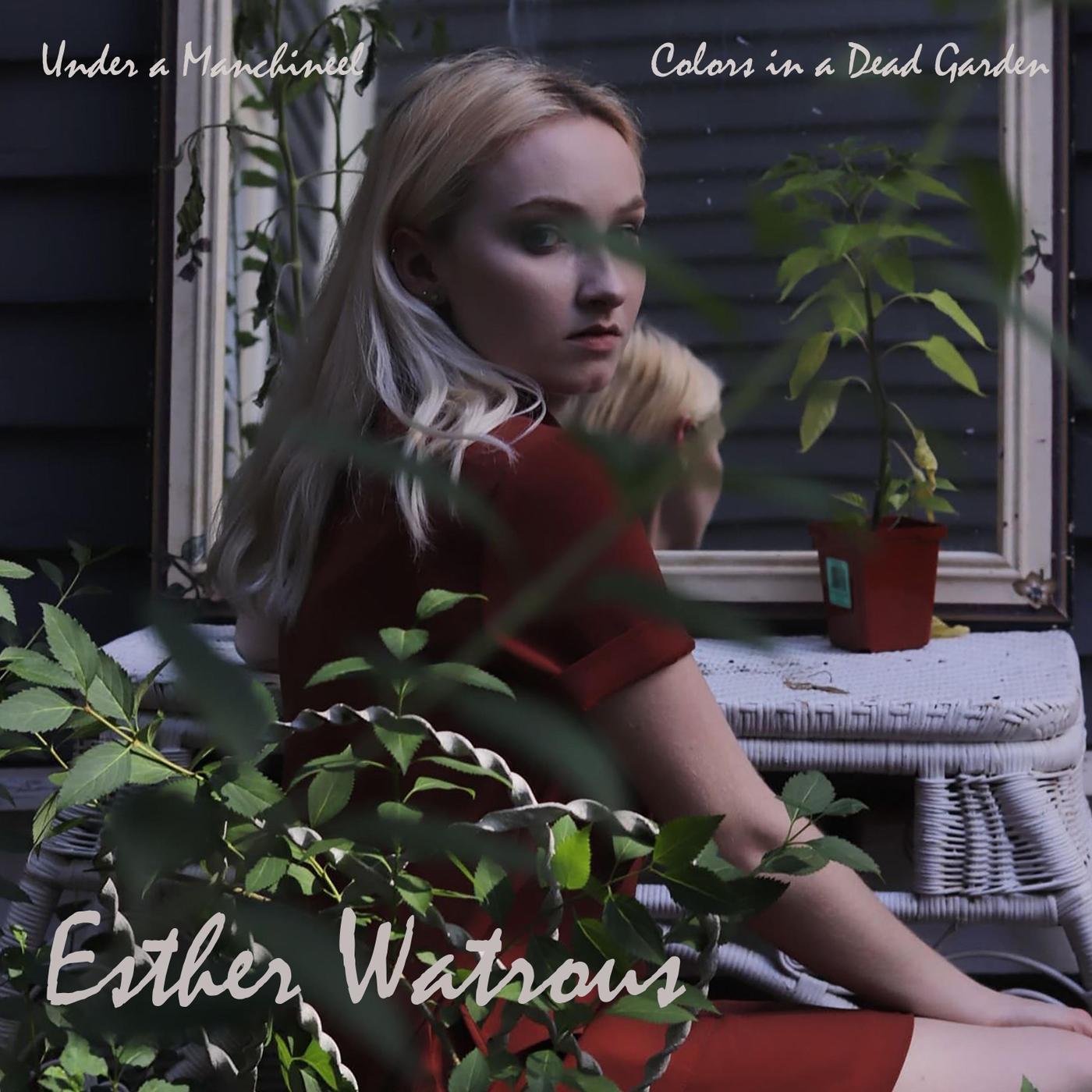 Colors in a Dead Garden