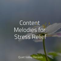 Content Melodies for Stress Relief For Dogs