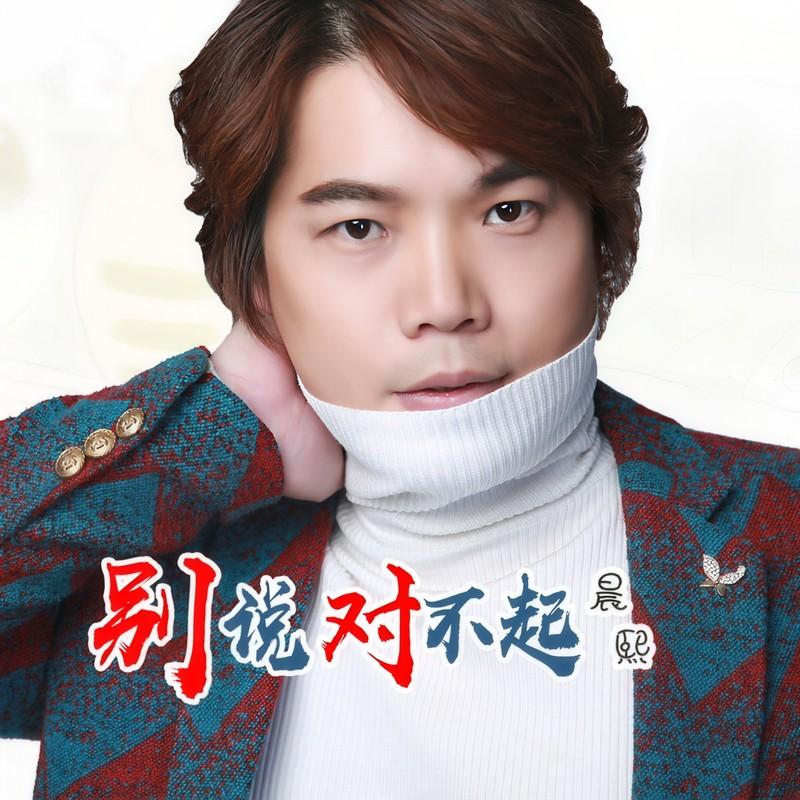 别说对不起 (DJ何鹏版伴奏)封面