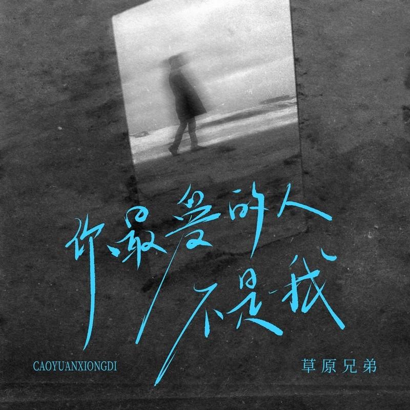 你最爱的人不是我(DJ版)封面