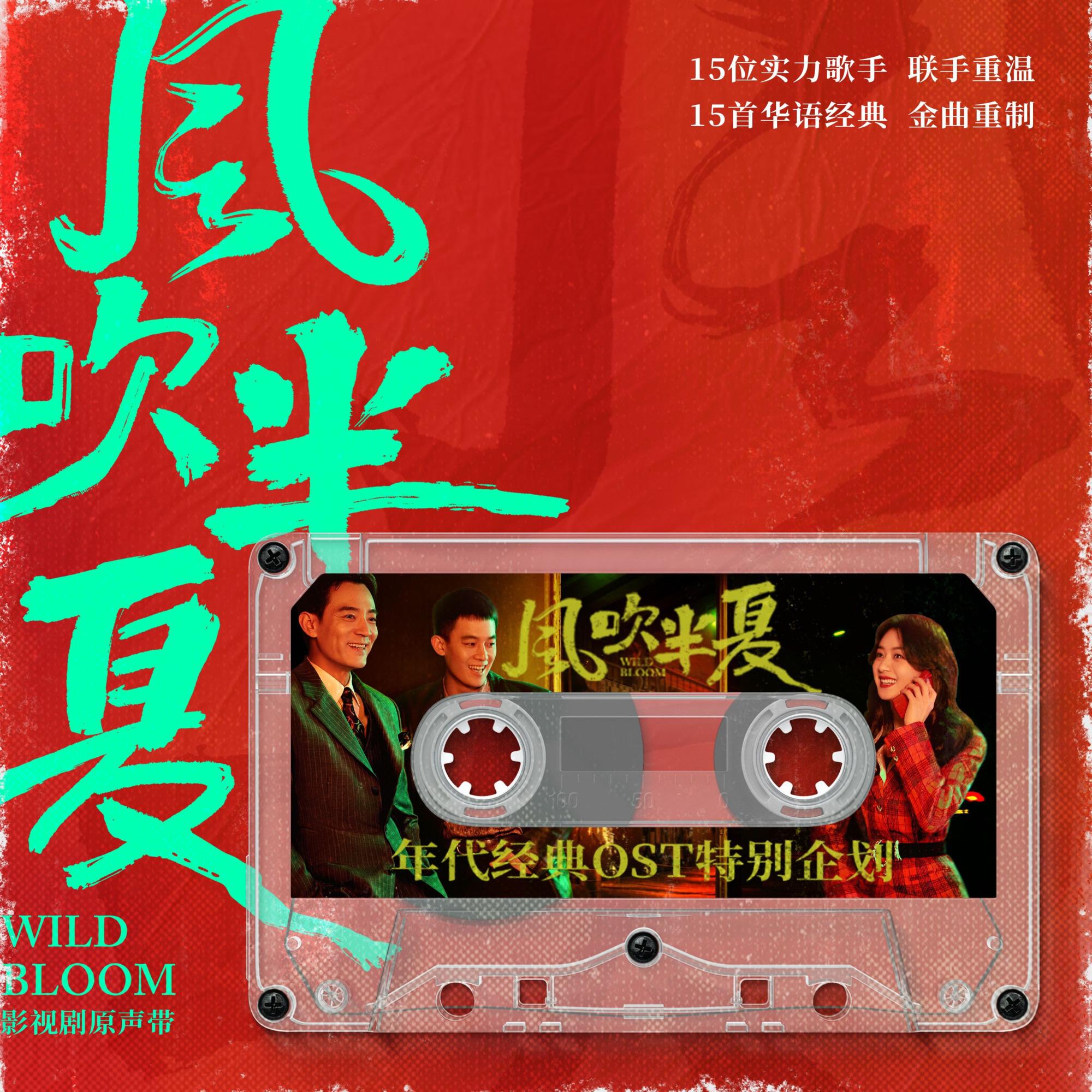 难舍难分封面