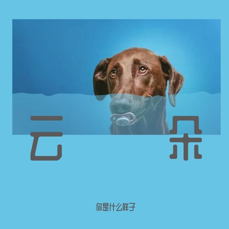 Fdhdf fdhdf