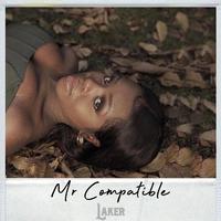 Mr Compatible