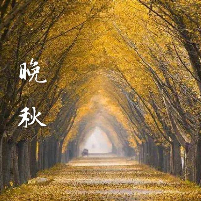 晚秋（钢琴曲）封面