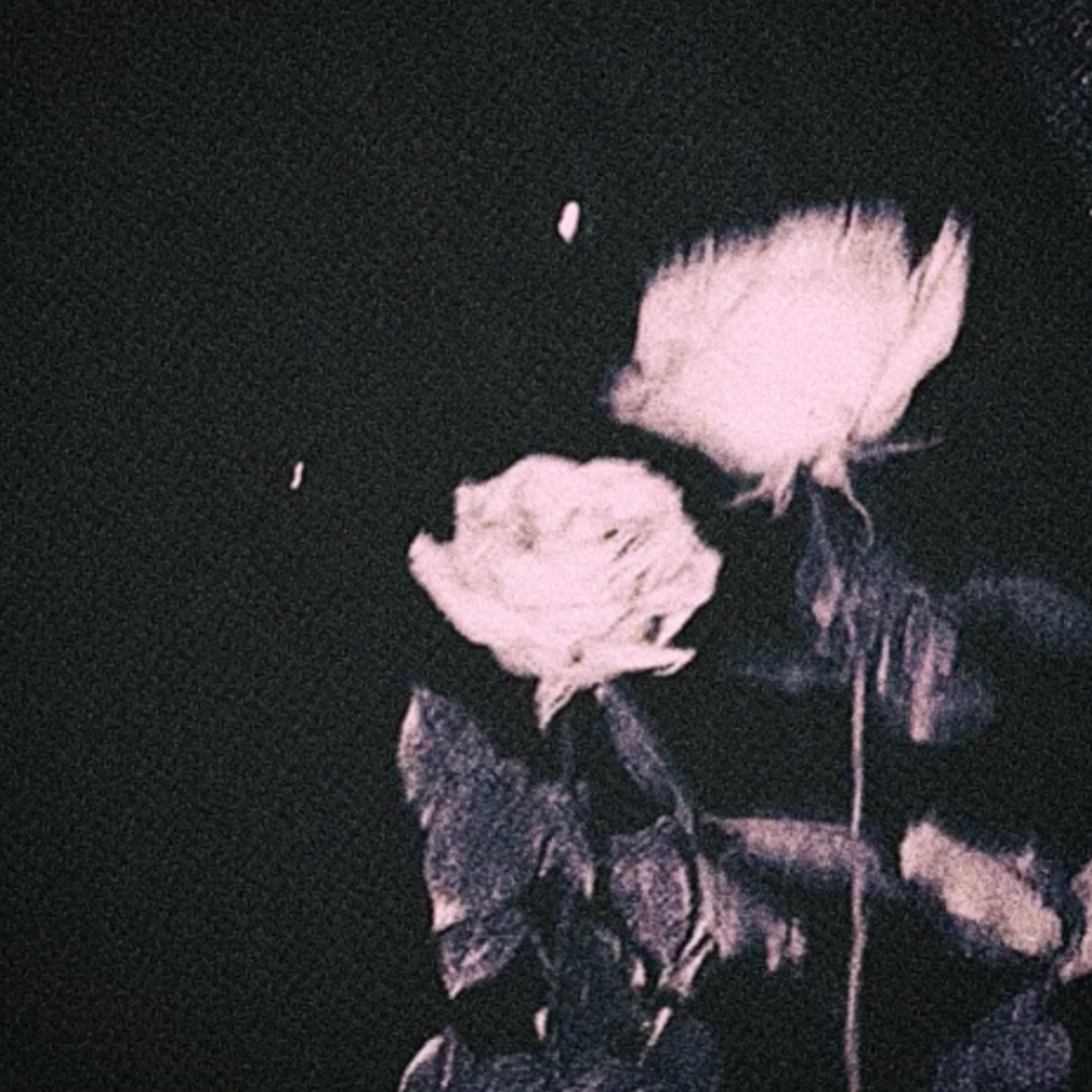 don't give up (feat. Daniel Saint)