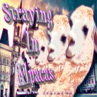 Straying In Alpacas