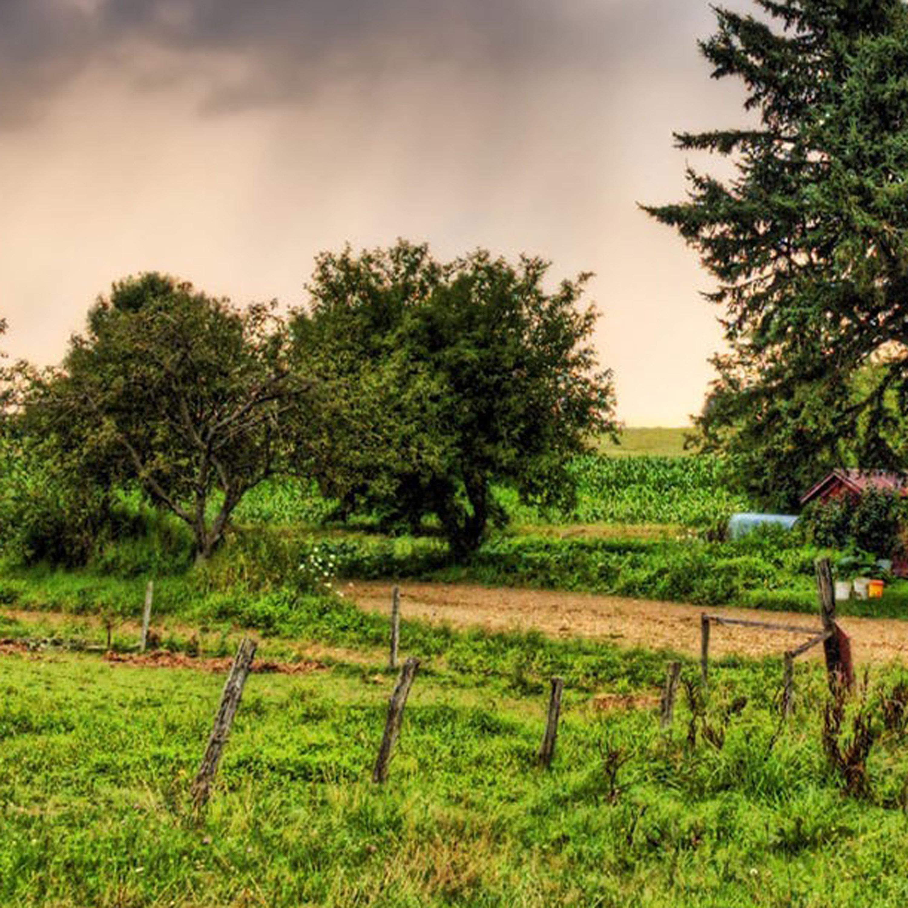 健康快乐深爱着你