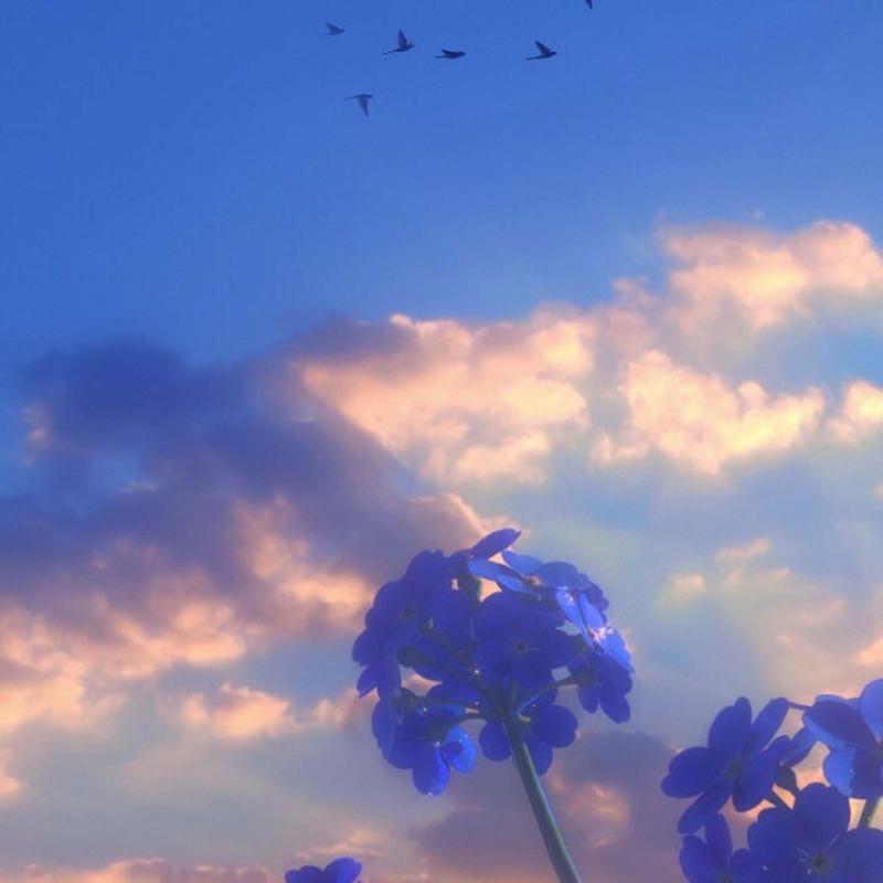 Chasing Tonight (House Lak)