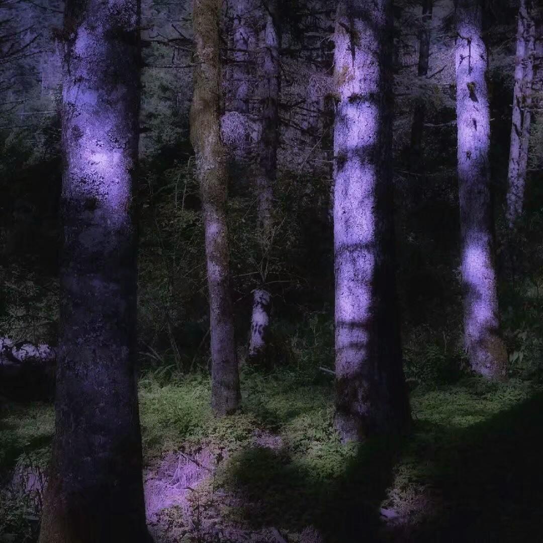 昨夜你把星辰投进我梦里（翻自 漫乐酶）