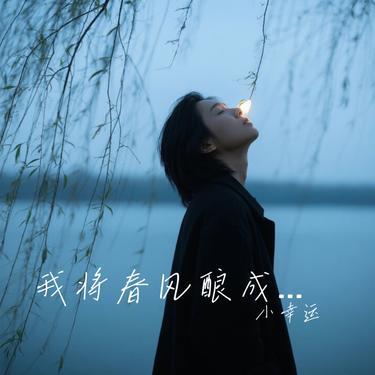 我将春风酿成酒  (Remix)封面