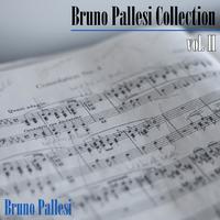 Bruno Pallesi collection, Vol. II