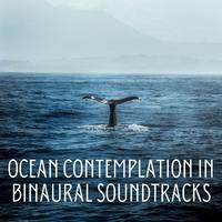 Ocean Contemplation in Binaural Soundtracks