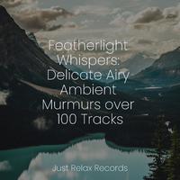 Featherlight Whispers: Delicate Airy Ambient Murmurs over 100 Tracks